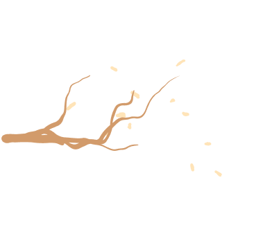 Damaskus Messer group image of knife set.